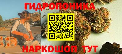 гашик Заволжье