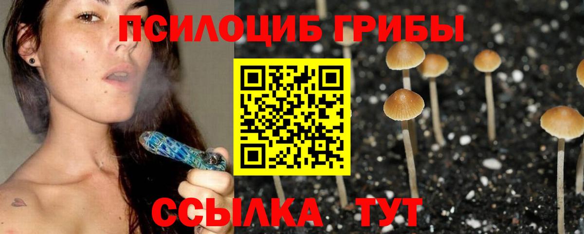 Псилоцибиновые грибы Magic Shrooms Лянтор